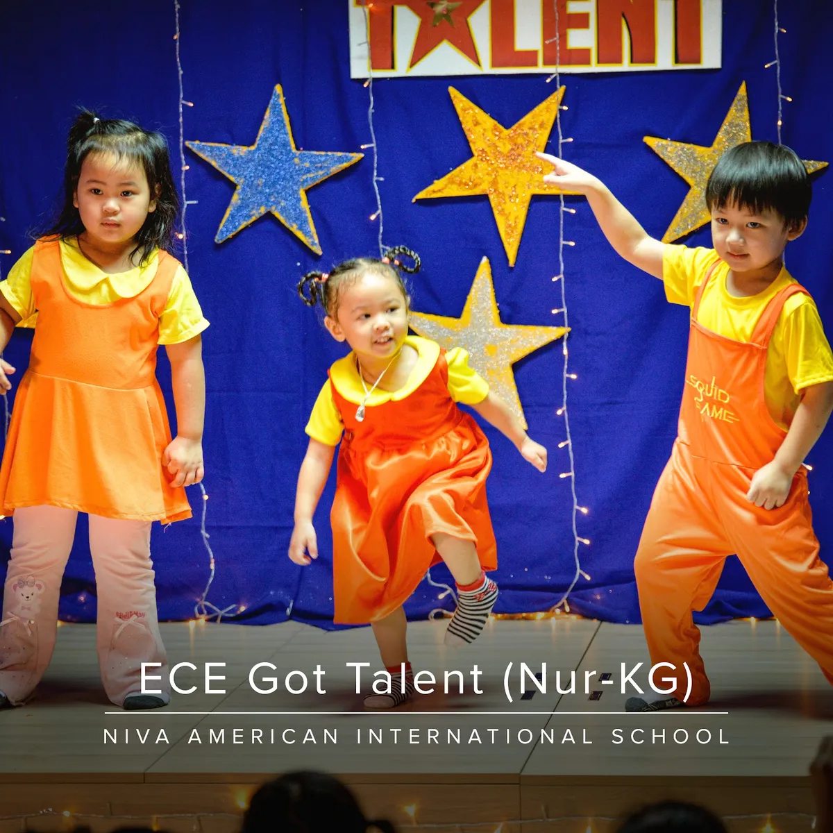 Niva American International School 2