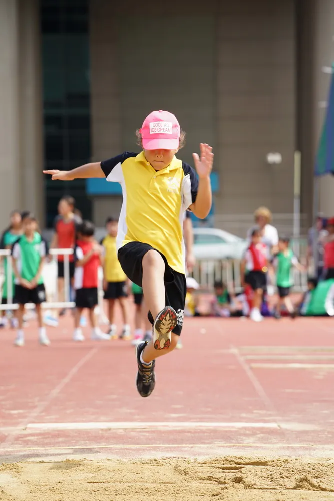Traill International School 2